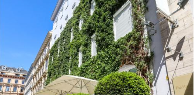 Ozelenjavanje krovova i fasada u Becu a uskoro i kod nas